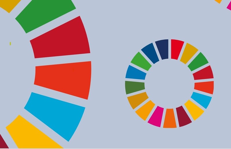 SDG Wheel / © United Nations